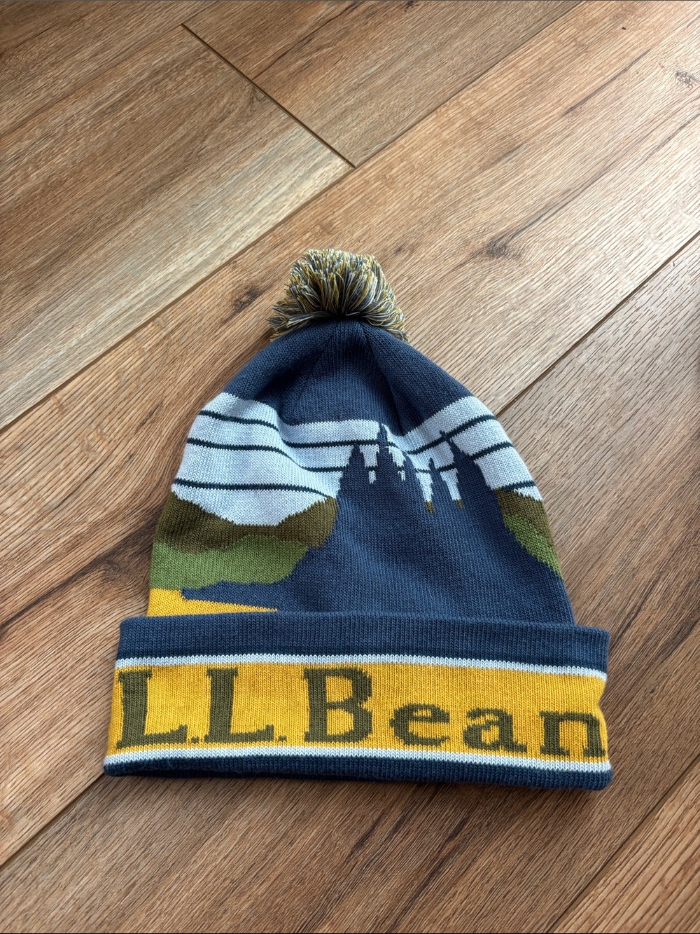 NWOT LL bean beanie with pompon